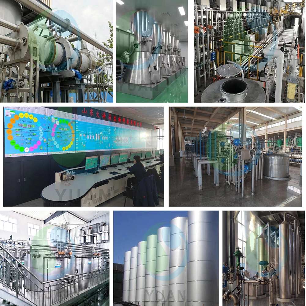 Производственная линия Allulose