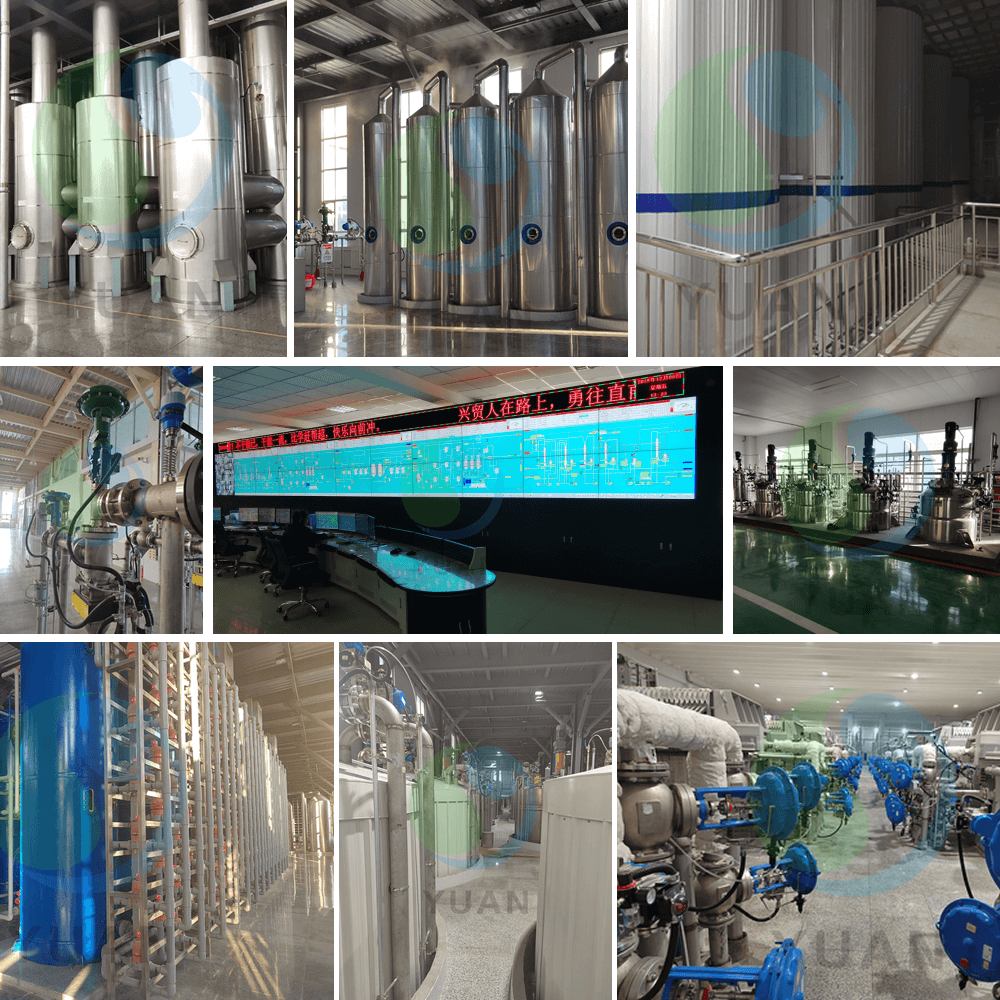 Лизин Проект