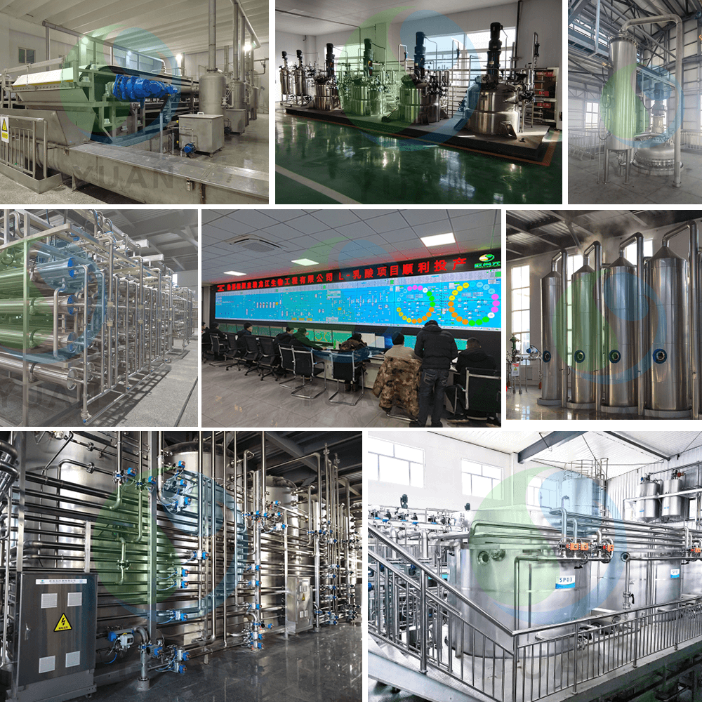 Проект молочной кислоты